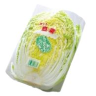 ボードン　白菜シート