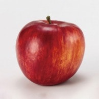 造花実物 アップル
